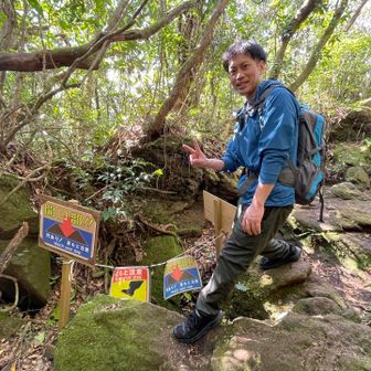 ネコ君、楽しそう🤗