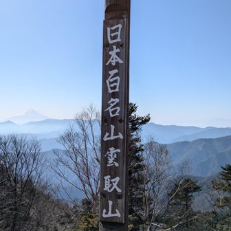 雲取山山頂から富士山🗻