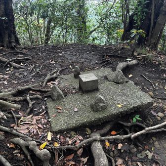 ヌルヌルすぎてペースが上がらない…