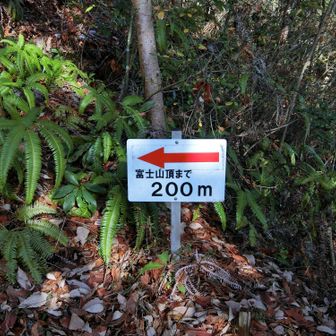 下山し始めました
ずいぶんと下ったはずですが、まだ200mしか下ってないよと言われているみたいでした