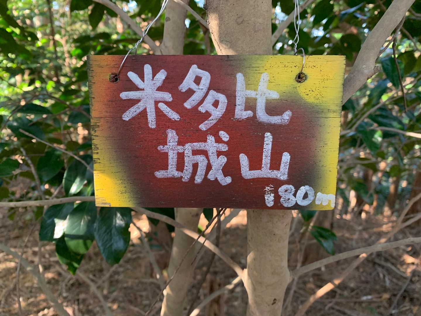 ねたび城山到着｡
