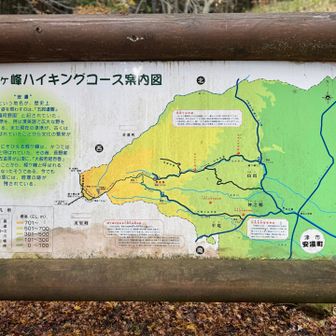 🅿️からここまで結構長い