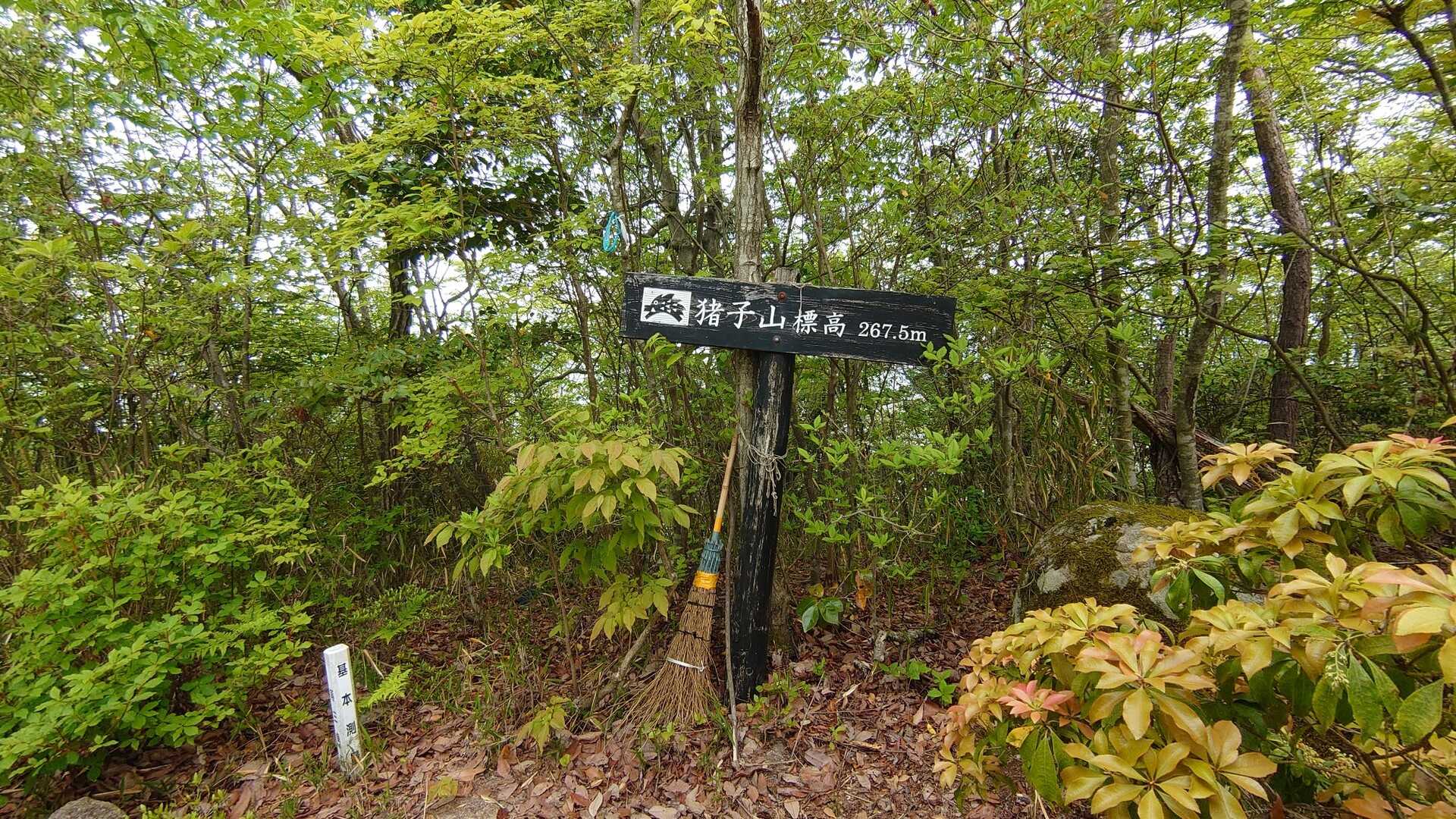 猪子山の写真