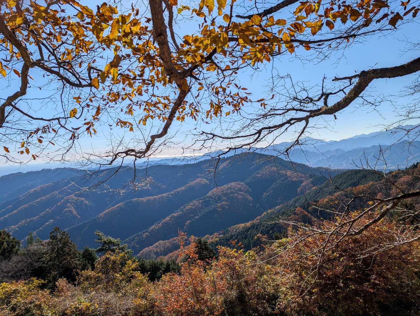 城山方面