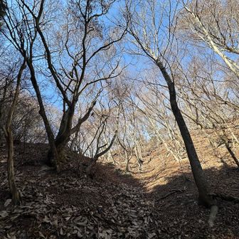 もうちょい　休める様に
どうにかしたい😅

山には
もっともっと行きたい‼️