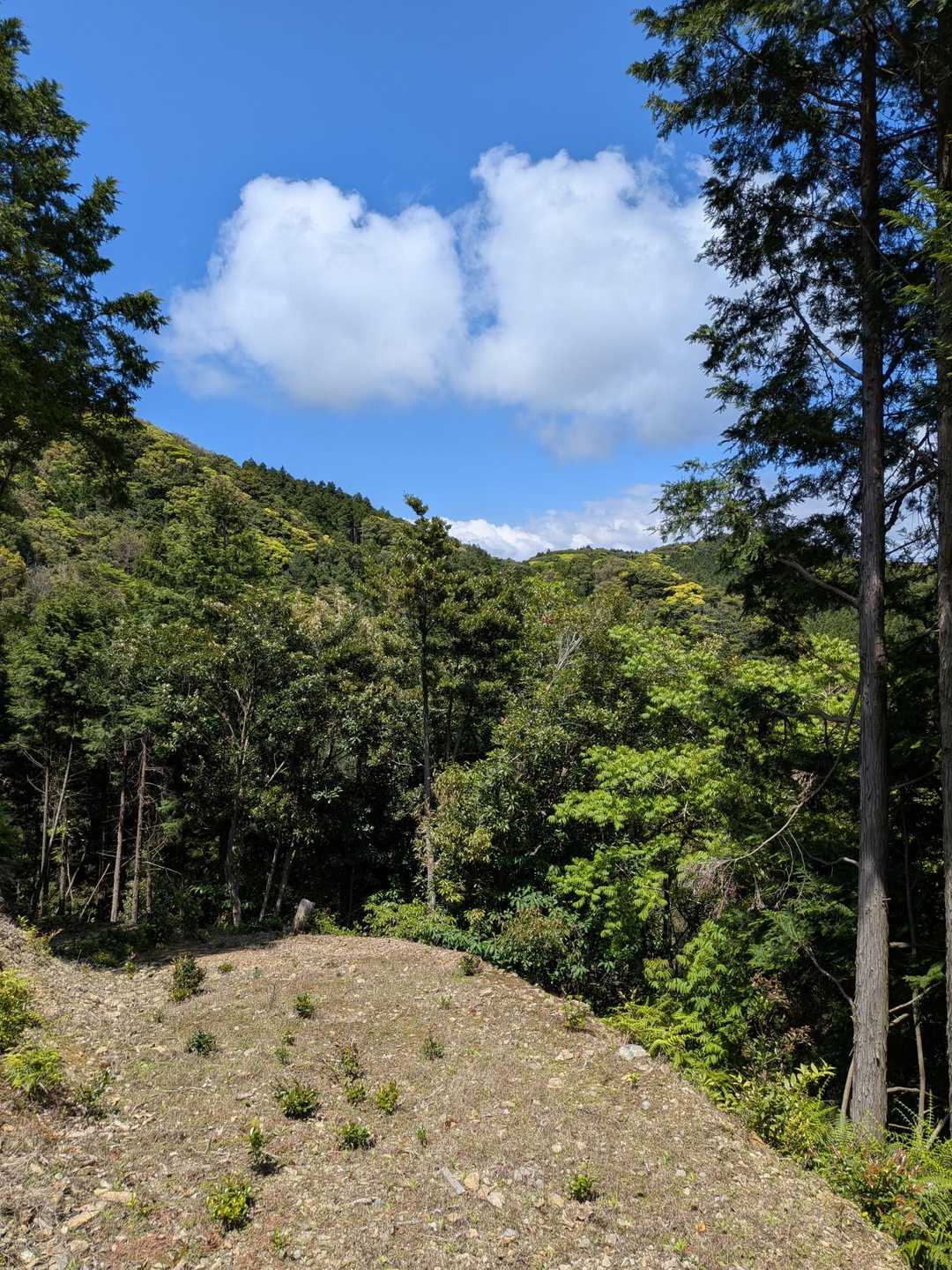 八郎岳-小八郎岳 往復コースの写真
