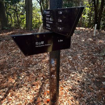 山頂の
山看板より行き先が前出すぎ