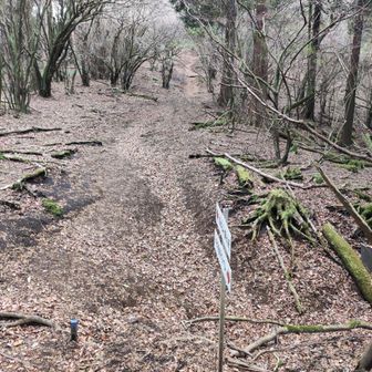 先に見える坂を上がると、高松山なんですが、サッササッサ歩いて来ているので、意外にそんな坂がこたえました。
