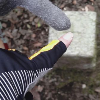 枯木岳一応、ここには三角点ありました