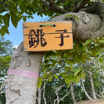 銚子⛰️✨