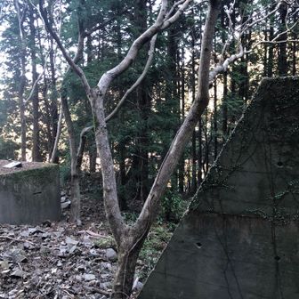 最初の杉林急登の場所からチラリ見える建造物が気になっていたので、見にきました。
入り口もないコンクリの塊？なんでしょうか…