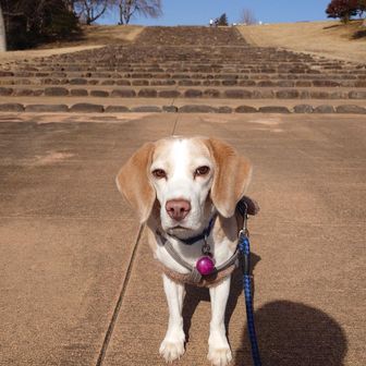 ちねんしゃしん…だど…
やれやれ…
はやぐ撮ってけさいん