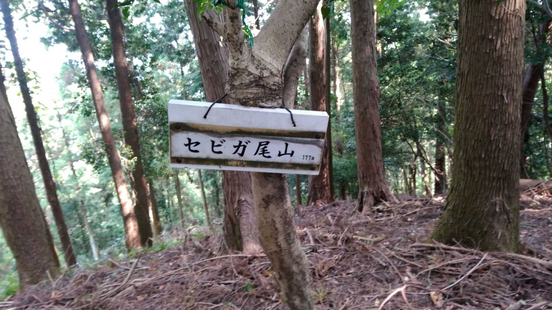 セビガ尾山　頂上。