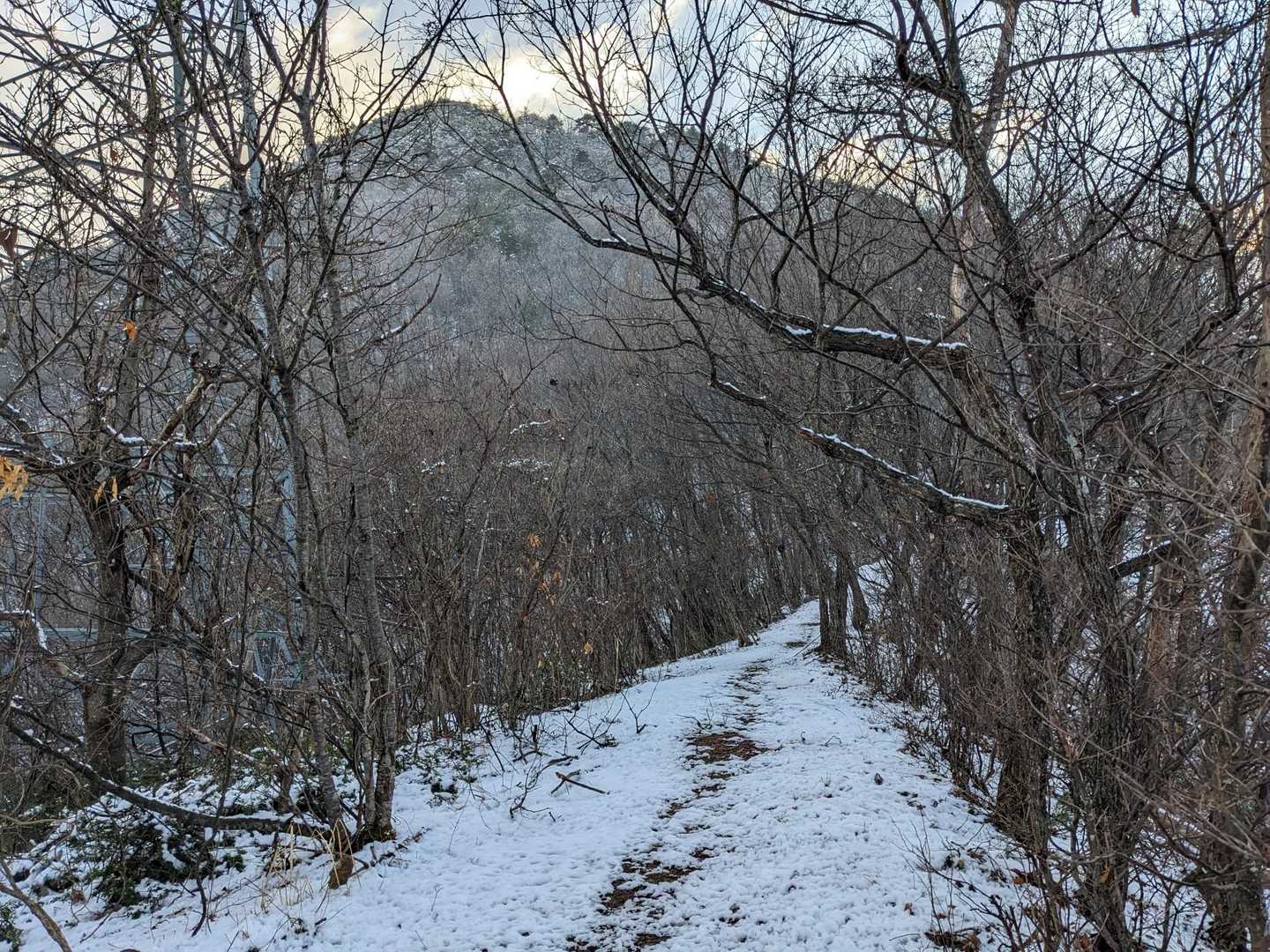 大森山の山容🏔