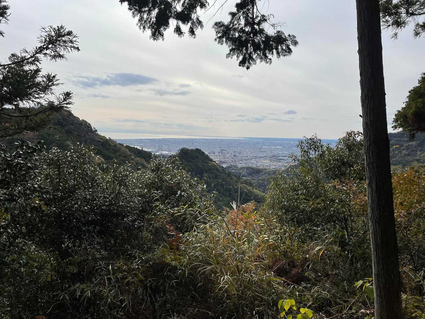 日本坂峠に登り返してゼーハー💨
焼津辺展望台から💡