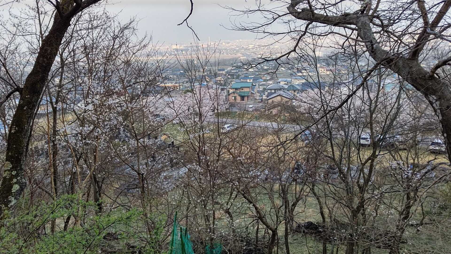 光城山往復 | 安曇野の田園と北アルプスを望む展望台へ、桜のトンネルを抜けての写真