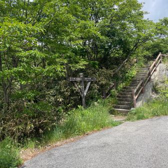この時間登り始める人は登山道ではなくロープウェイでした