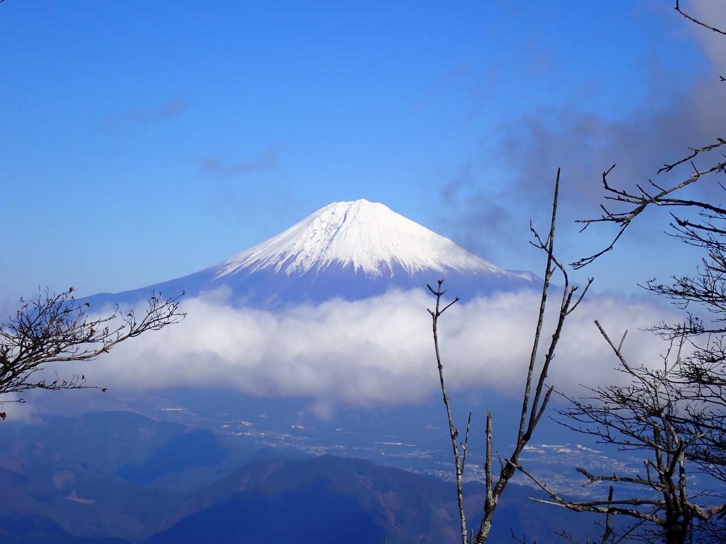 もちろん日本一🇯🇵も