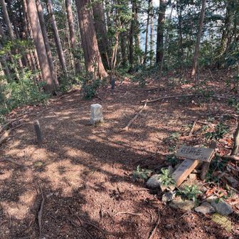 程なく越生駒ヶ岳山頂到着。

この先はふもとに下る感じです。

この道、もっと分かりにくいと思っていましたが、踏み跡もしっかりしてましたし、迷う心配は無用でした。