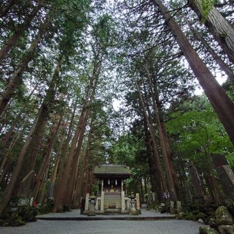 なかなかの荘厳さ
