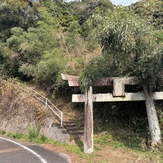 振り向いて
反対周りだとここからです