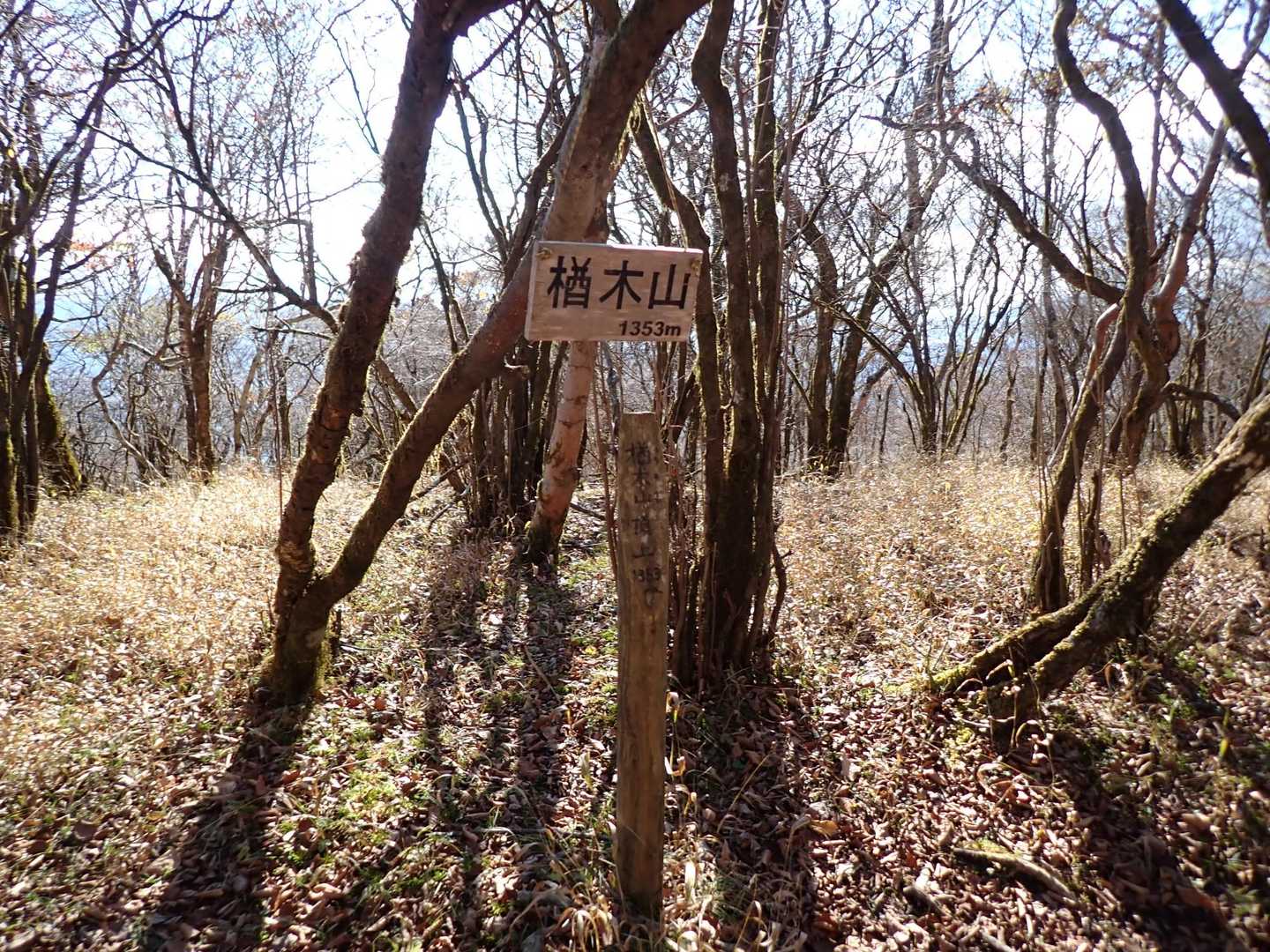楢木山に到着