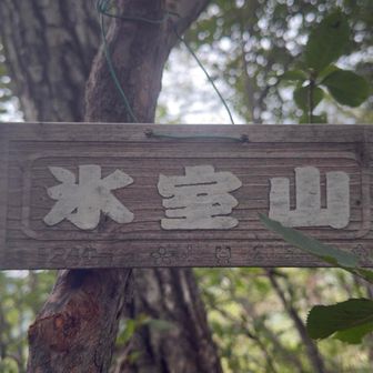 氷室山登頂