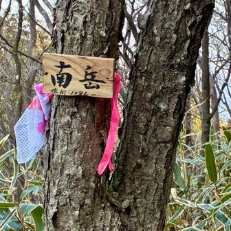 南岳に着きました。

この山頂を見晴し台と言うそうですが、展望はありません。
きっと、昔は展望が良かったんでしょうね。