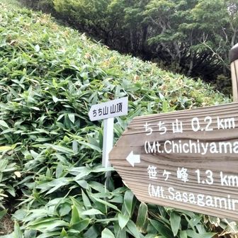 ちち山別れからここまでの道が笹漕ぎのトラバース道で怖かった😢　