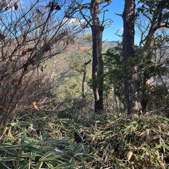 新穂高山頂
この後サングラストレランポール落とす😭