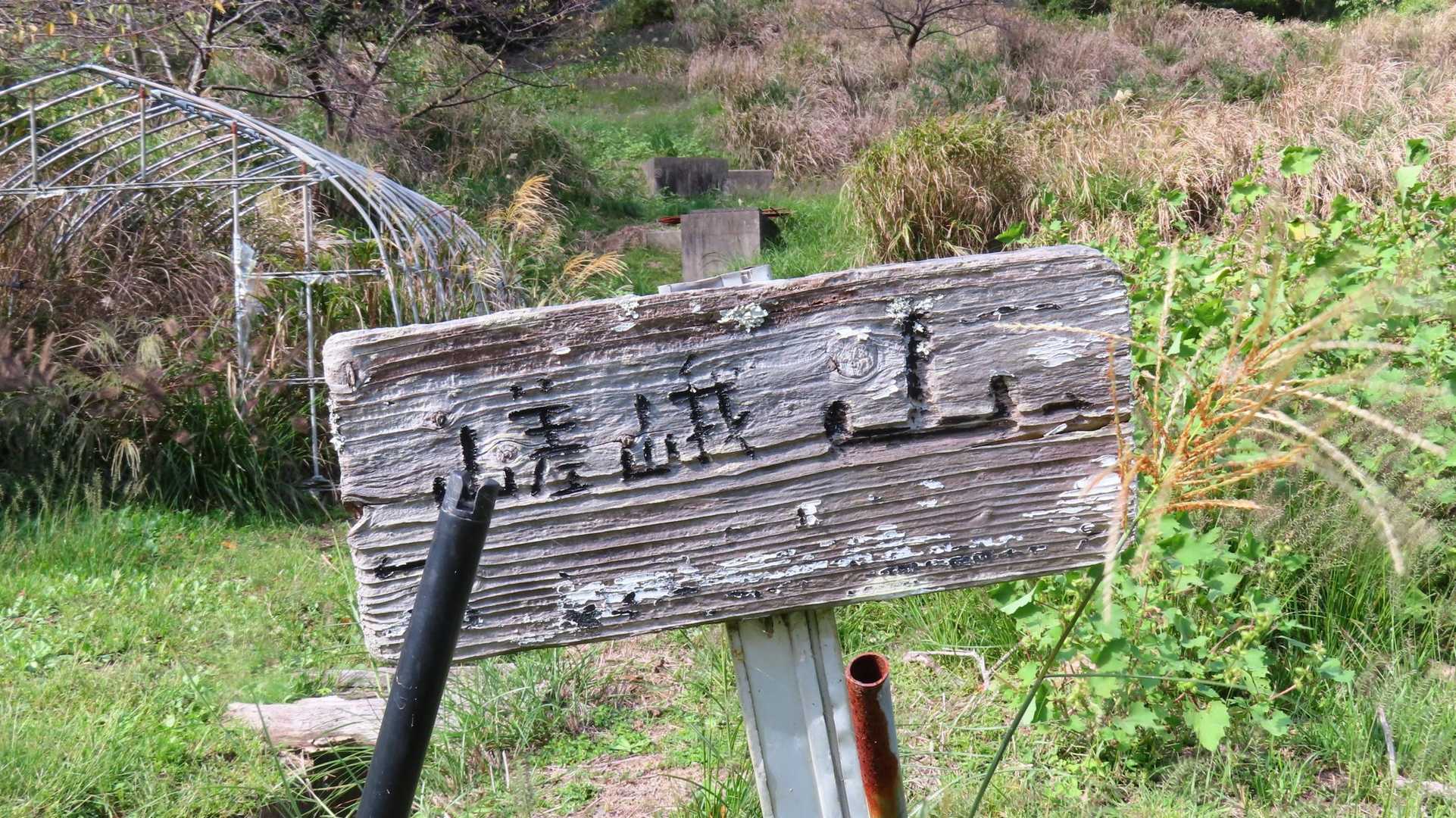 嵯峨山　→