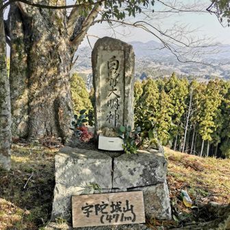宇陀松山城跡
豊臣秀長の大和支配の拠点のひとつ(大和郡山城と高取城)