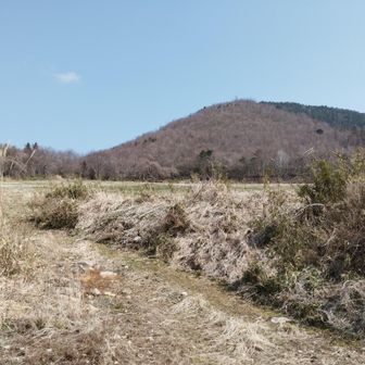 登山口の草原から出発
どうもこの山⛰️高倉山からパラグライダーで飛び出すようだ