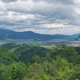 山頂からの景色