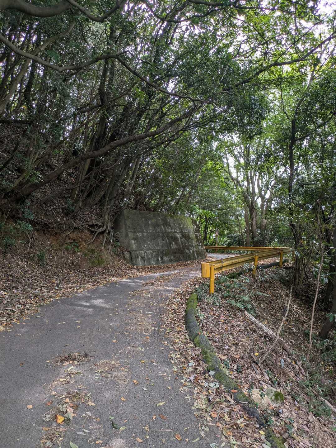 神社下を右に進み、あとはひたすら車道をすたこらさっさ
