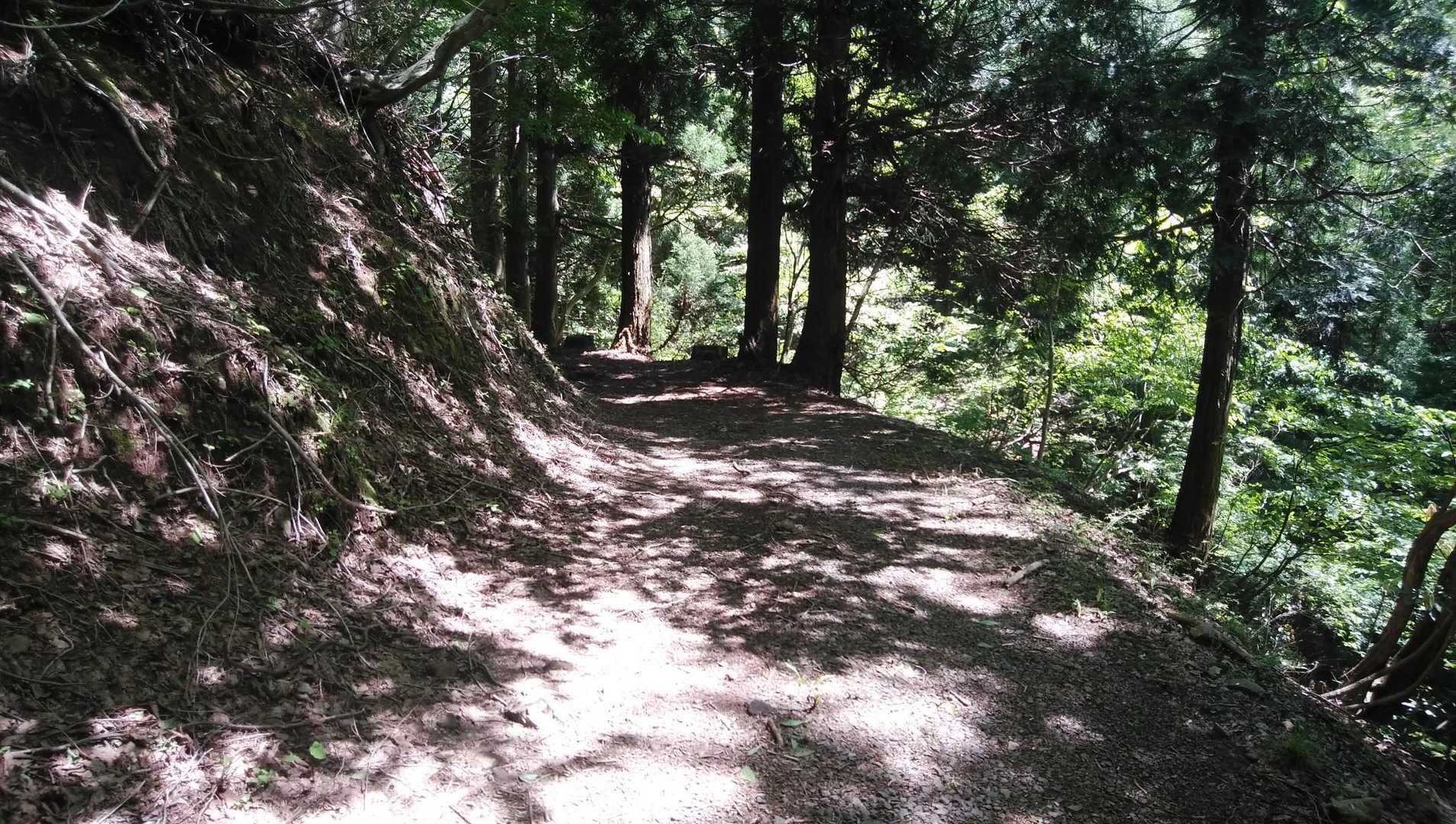 金剛童子山 周回コースの写真