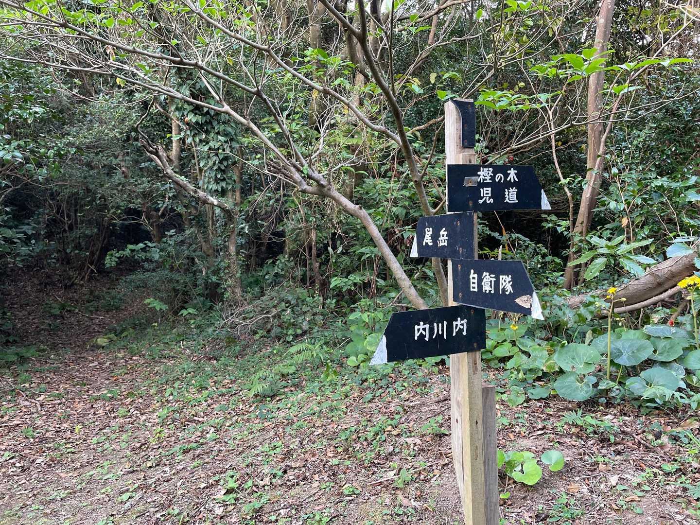 尾岳登山口-尾岳 往復コースの写真