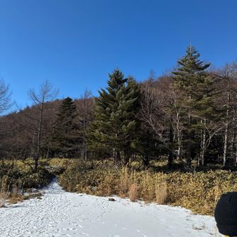 ここでチェンスパ装着、不慣れで10分はかかった