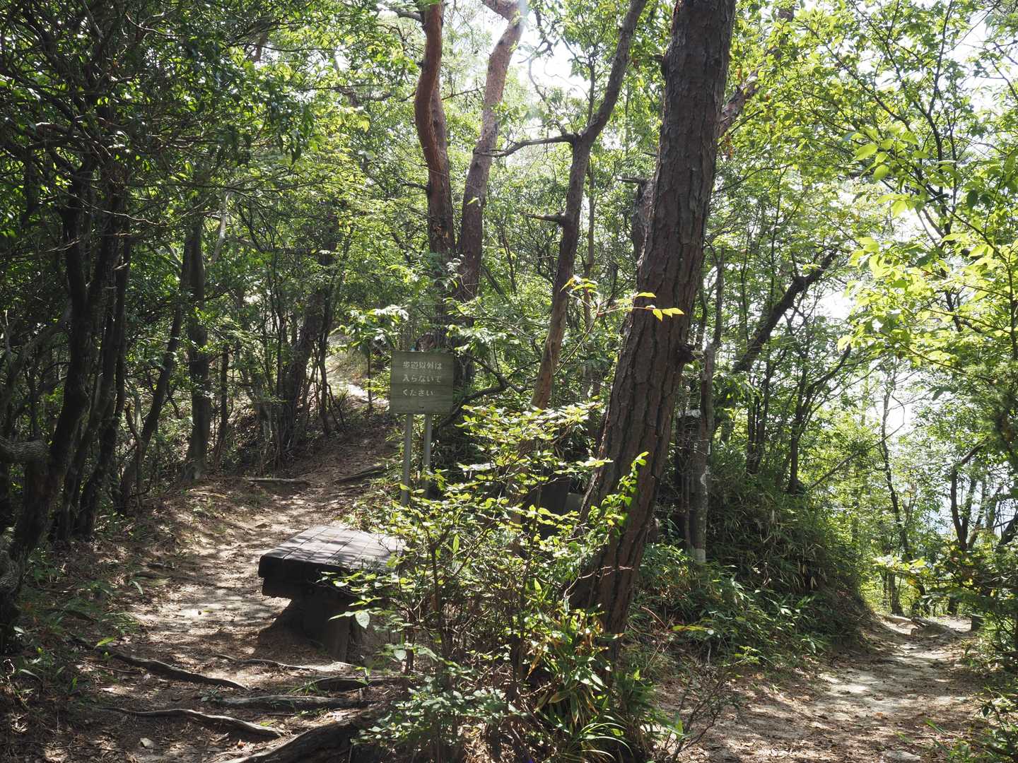 元岩巣山への分岐に着きました♫
左に進むと元岩巣山(もといわすやま)です！