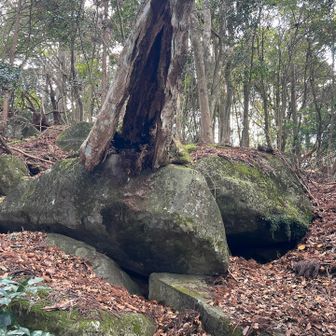 風穴
積雪時、この周りだけ雪が溶けてたりするそうです