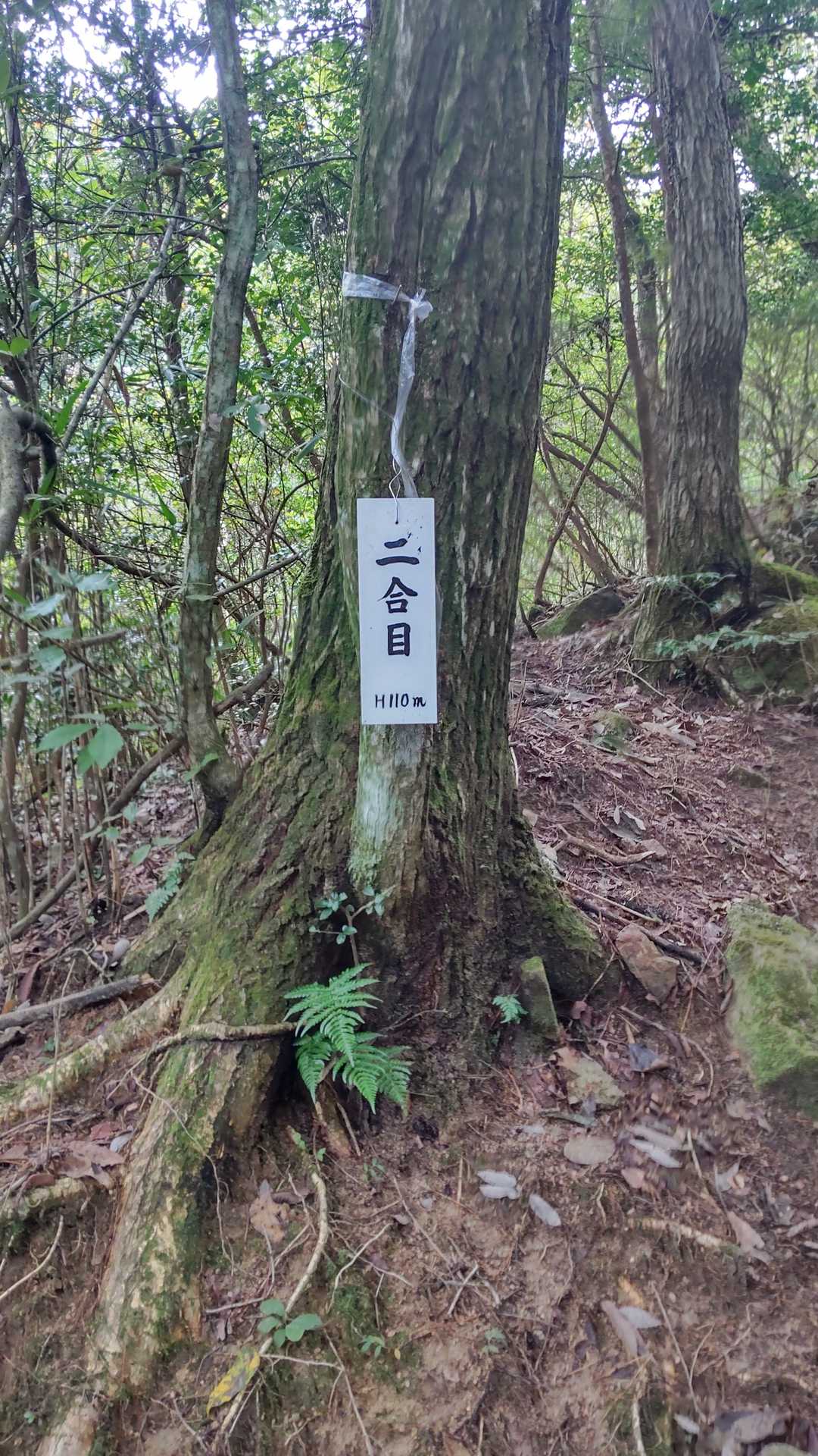 まだ2合目です。