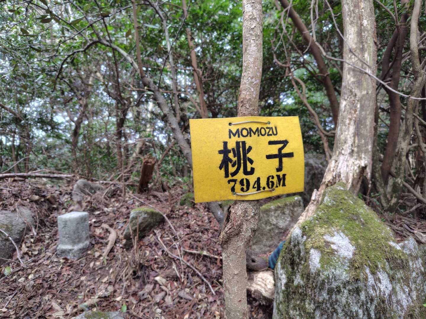 MOMOZUに登頂！見晴らし無し。
少し休憩して次の河童山に向います。