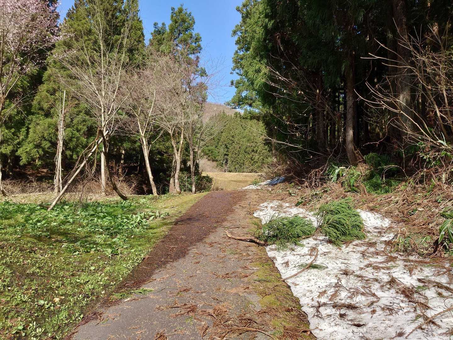 少し、残雪あり