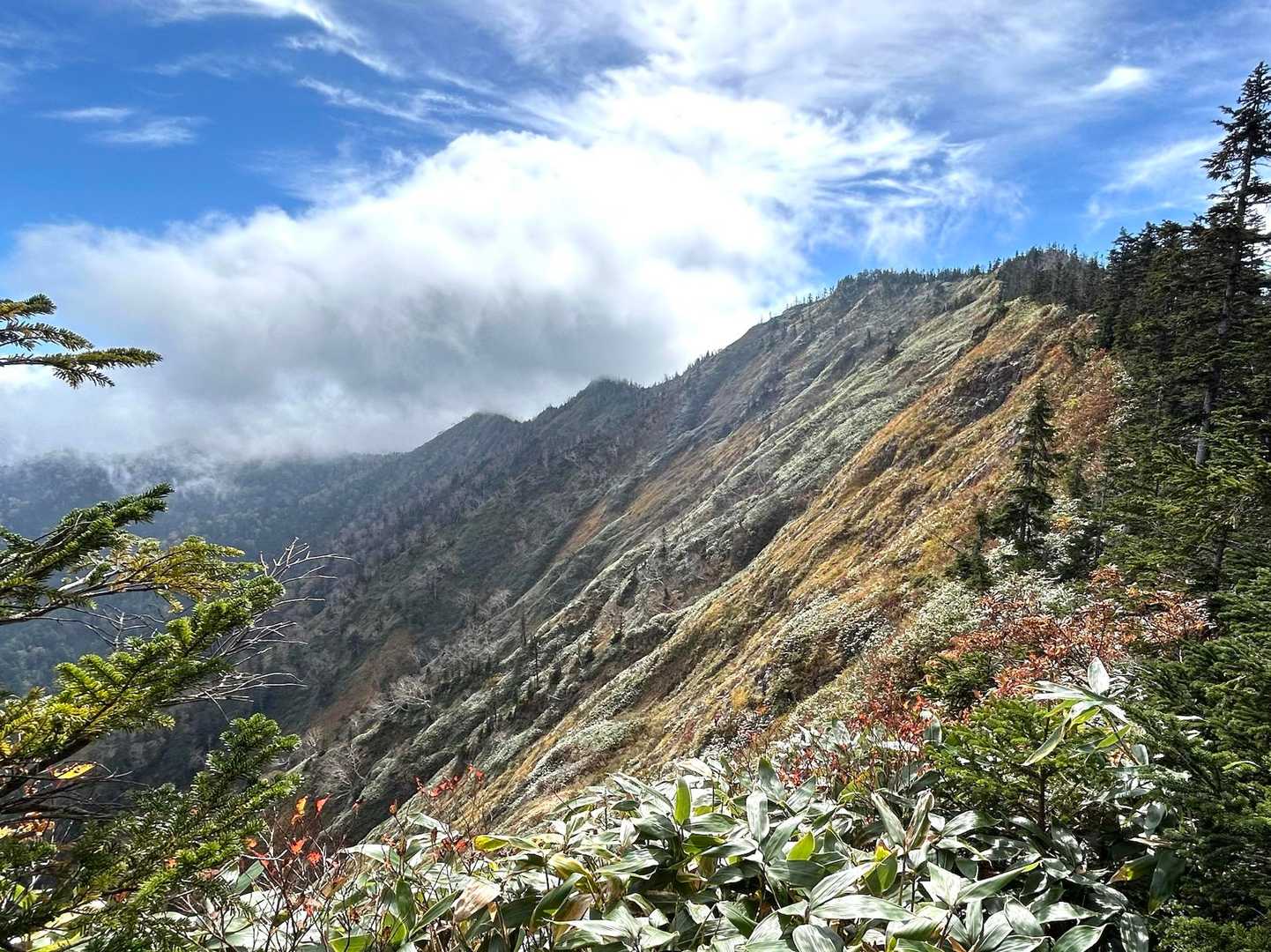 分岐からは樹間に佐武流山山頂を眺めながらの登り。雲に覆われた白砂山への稜線が続いている