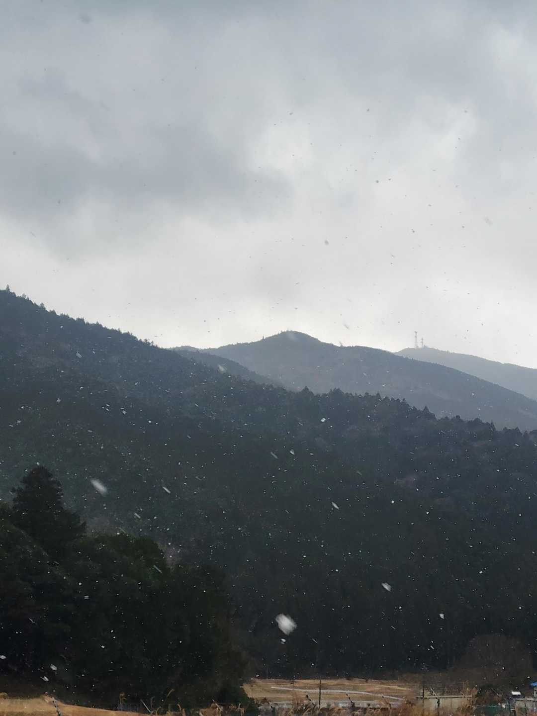 今日も相方と無事に七洞岳を歩く事が出来て感謝です
