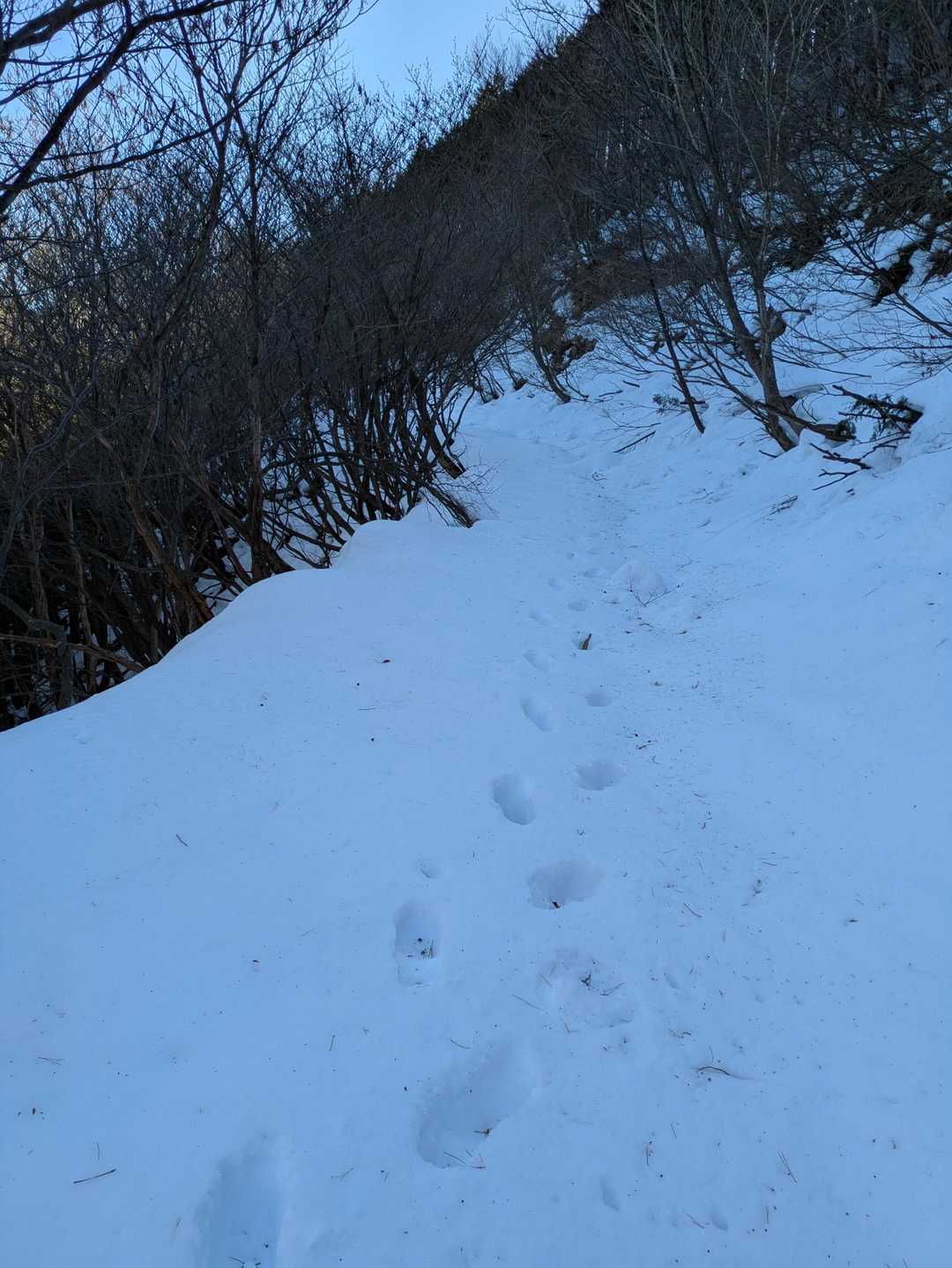 足跡ばかり見てたら違う道に…
雪深いけど近道っぽい🤣