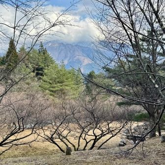 下山後に晴れるいつもの展開😬