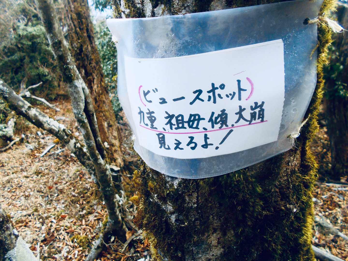 お！なんですと！