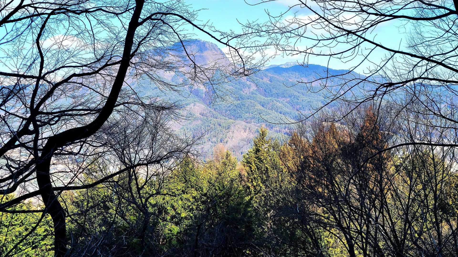 子檀嶺岳
