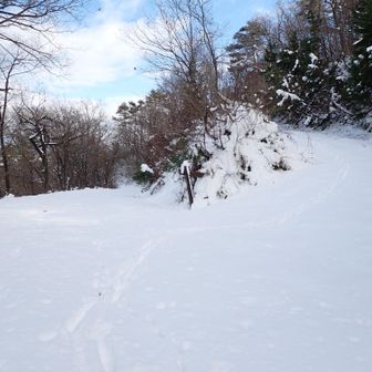 林道。右は神社へ続く。
